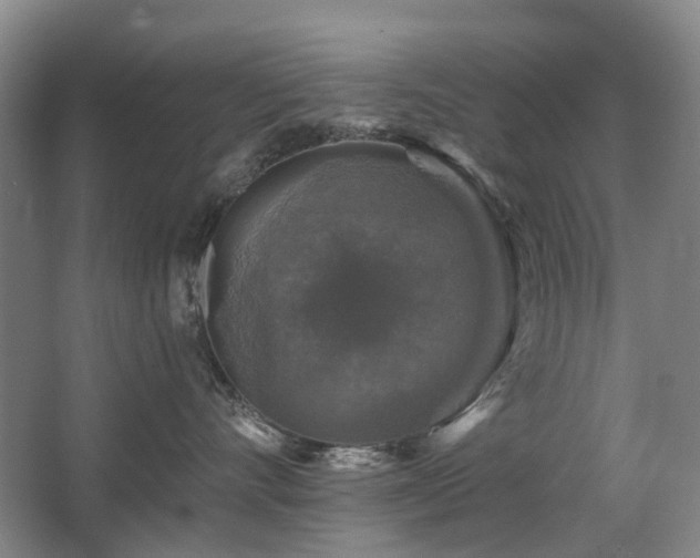 X0000067880528200604131305