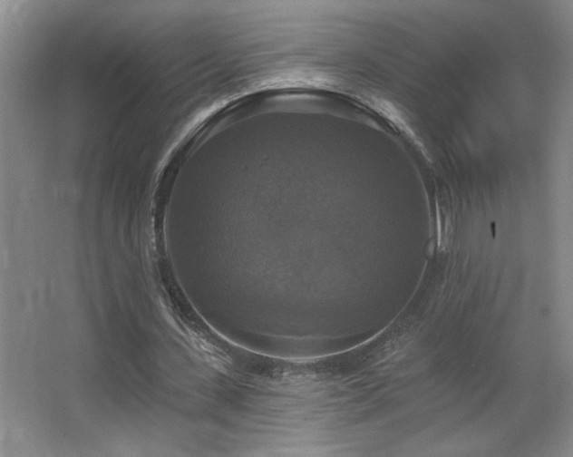 X0000067880531200604131305