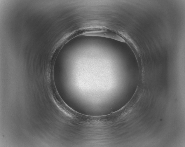 X0000067880533200604131305
