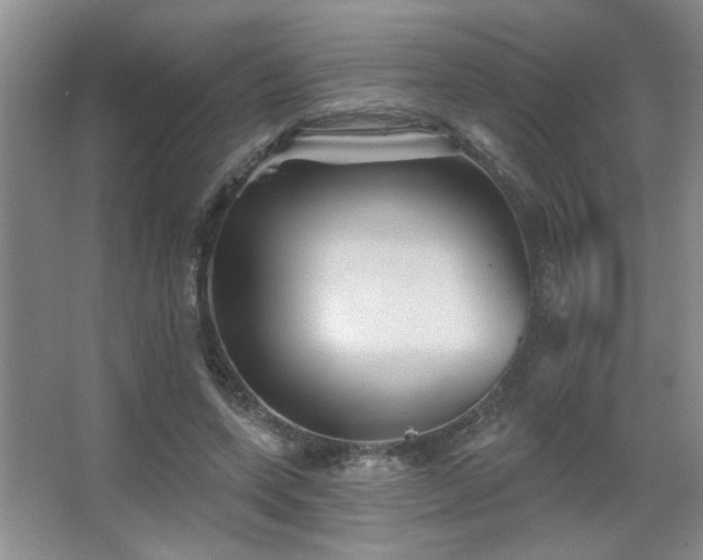 X0000067880543200604131305
