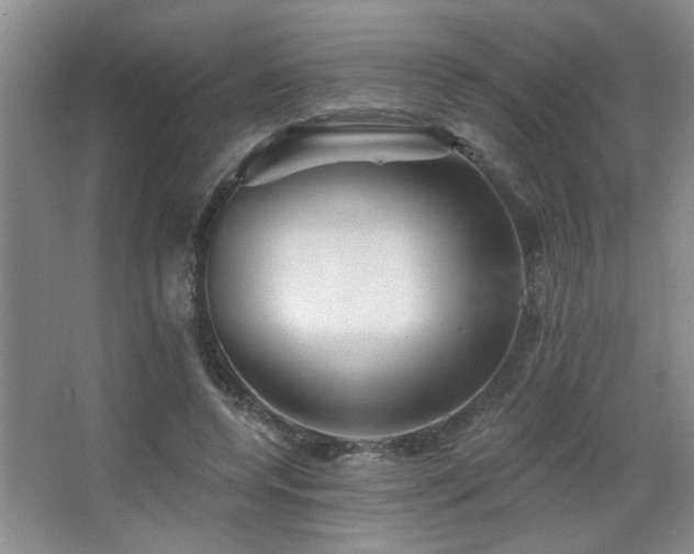 X0000067880544200604131305