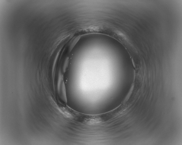 X0000067880548200604131305