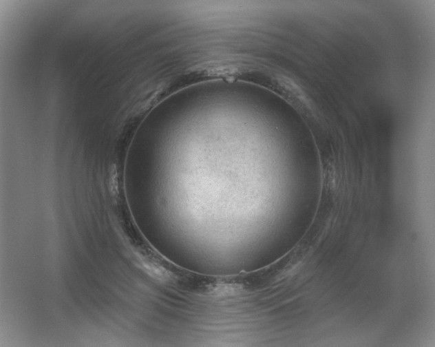 X0000067880549200604131305