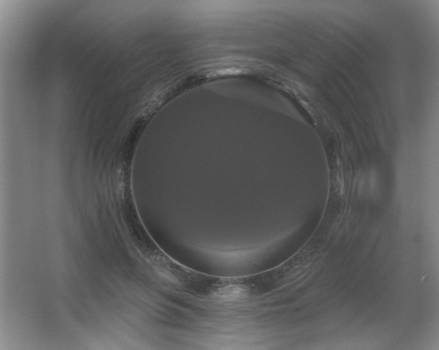 X0000067880551200604131305