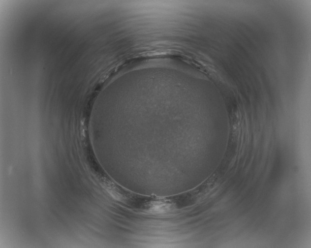 X0000067880555200604131305