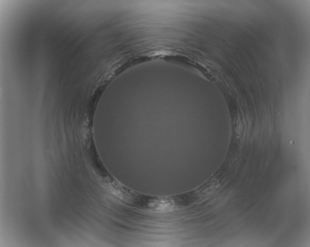 X0000067880559200604131305