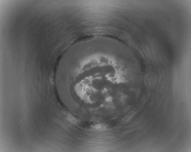 X0000067880561200604131305
