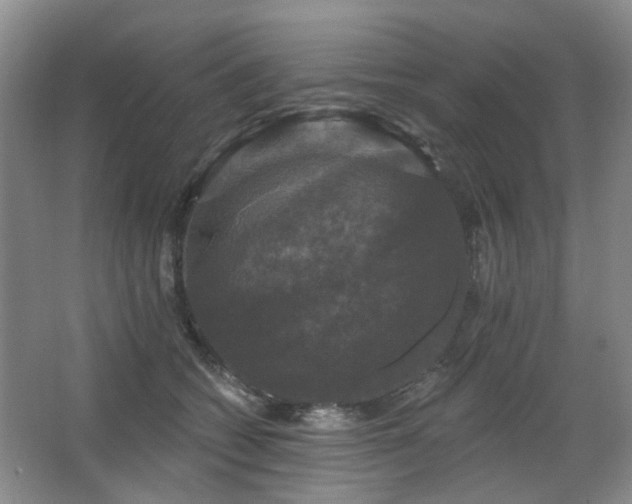 X0000067880562200604131305