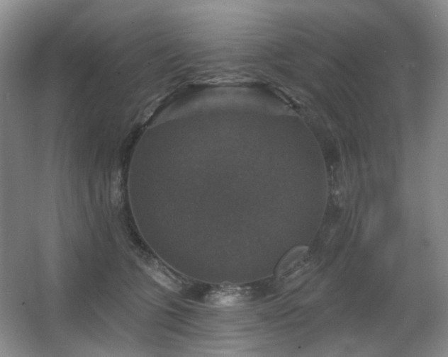 X0000067880563200604131305