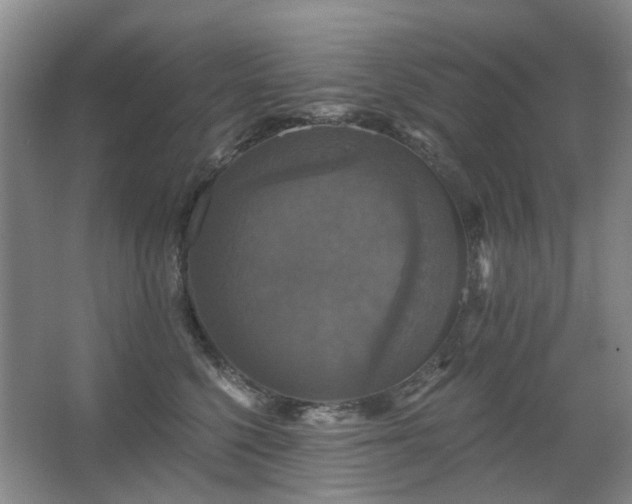 X0000067880568200604131305