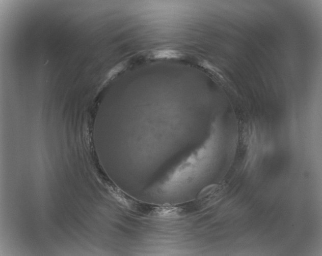 X0000067880569200604131305