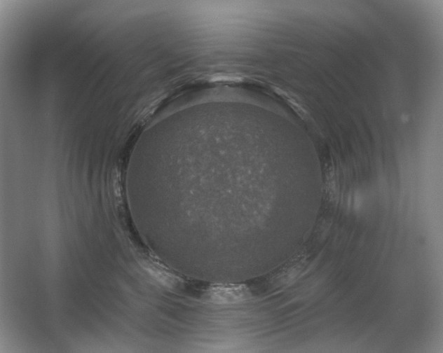 X0000067880571200604131305