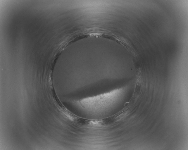 X0000067880573200604131305