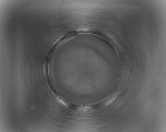 X0000067880576200604131305