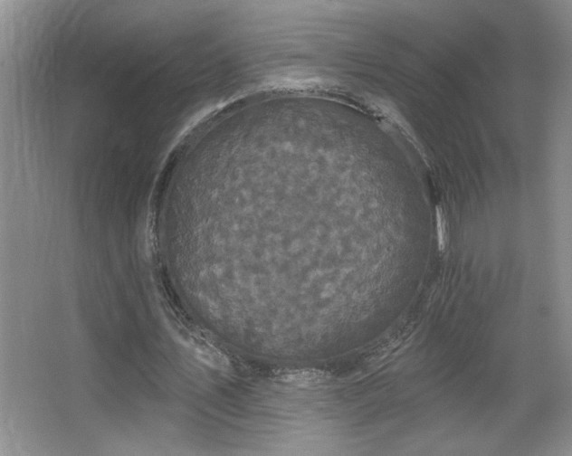 X0000067880579200604131305