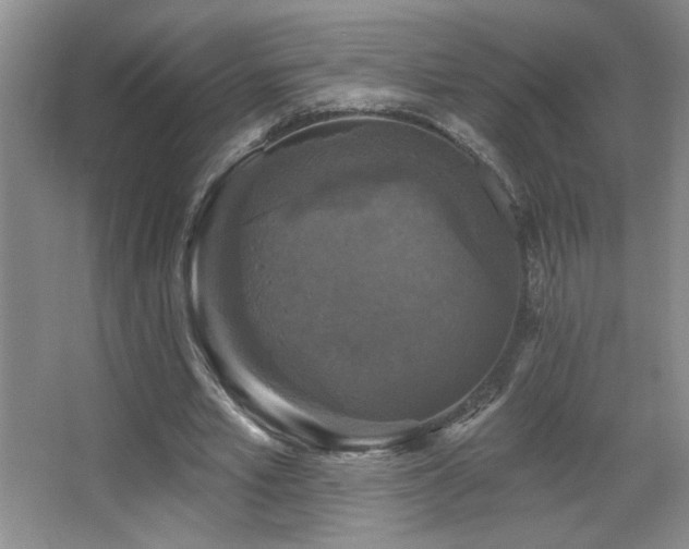 X0000067880581200604131305