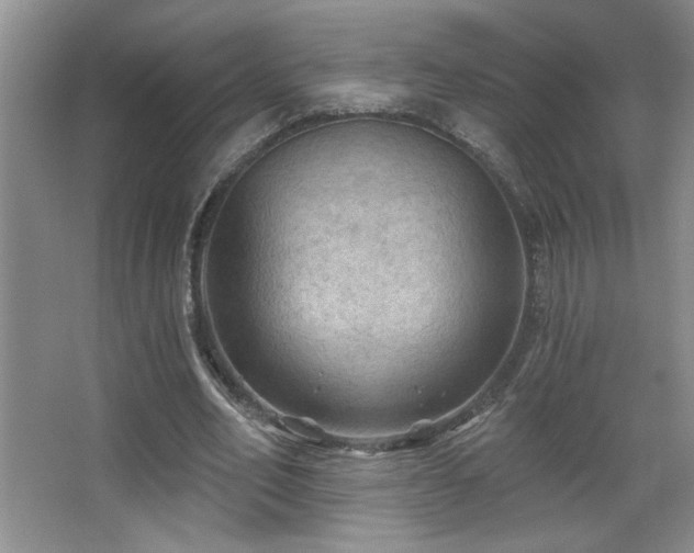 X0000067880582200604131305