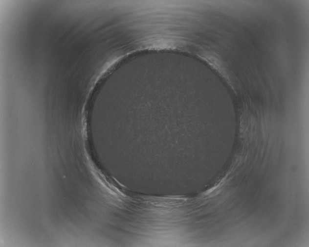 X0000067880584200604131304