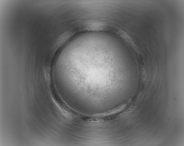X0000067880586200604131304