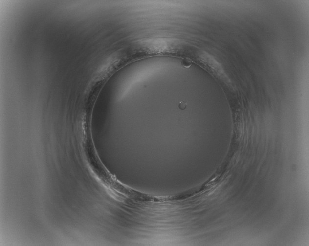 X0000067880590200604131304