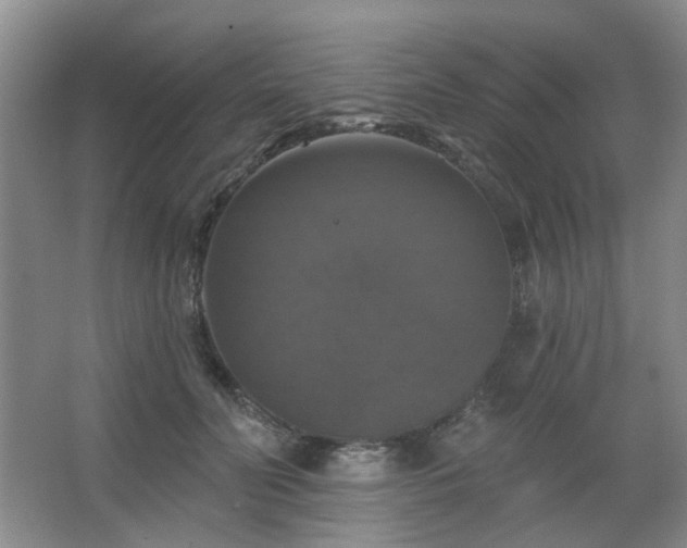 X0000067880606200604131304