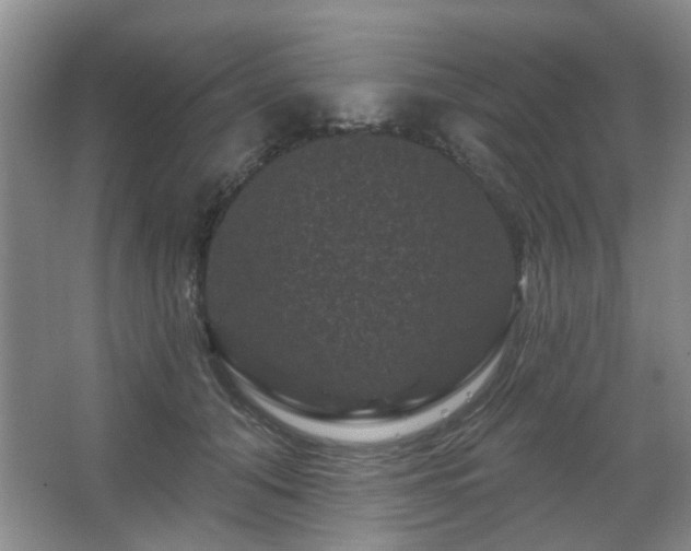 X0000067880608200604131304