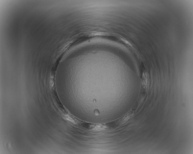 X0000067880621200604131304