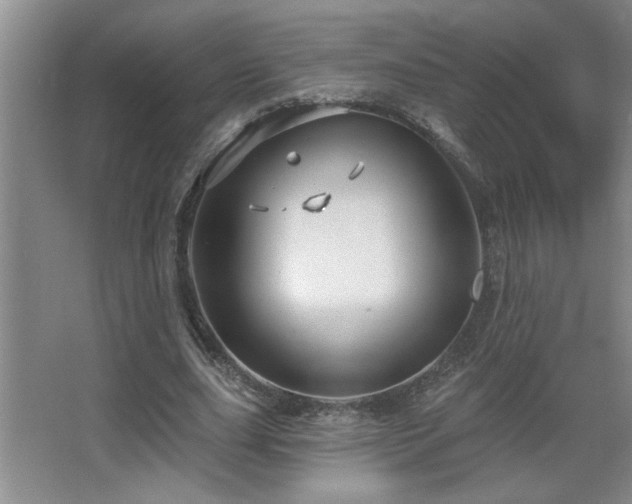 X0000067880631200604131303