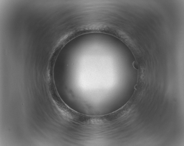 X0000067880636200604131303