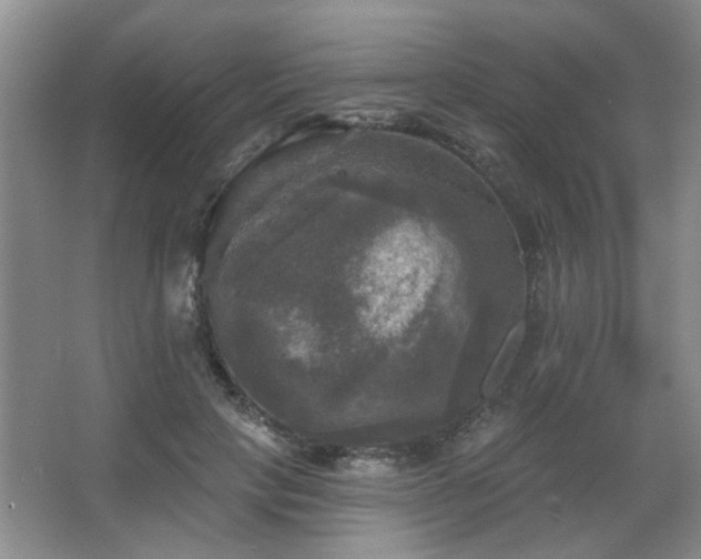 X0000067880649200604131303