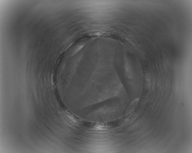 X0000067880657200604131304