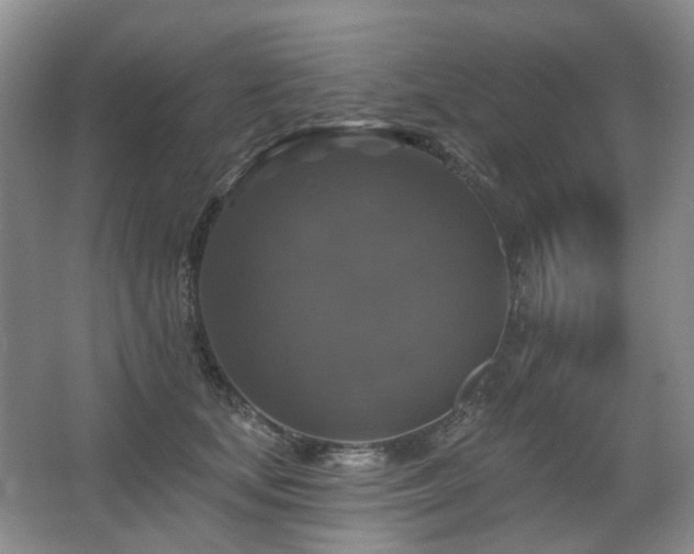 X0000067880659200604131304