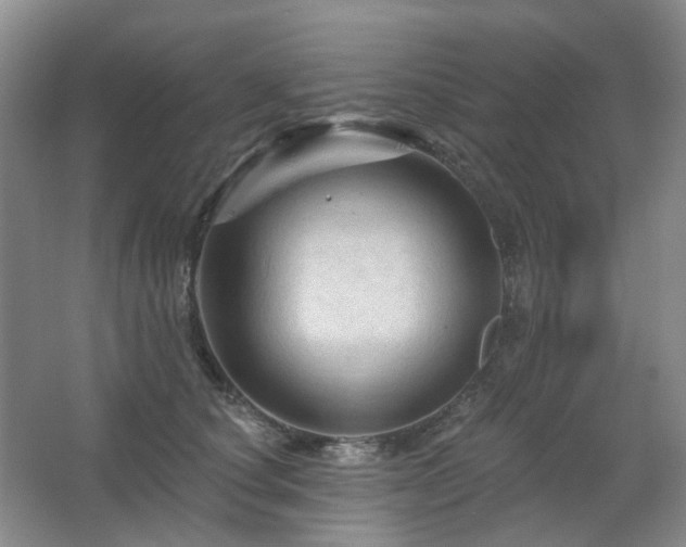 X0000067880660200604131304
