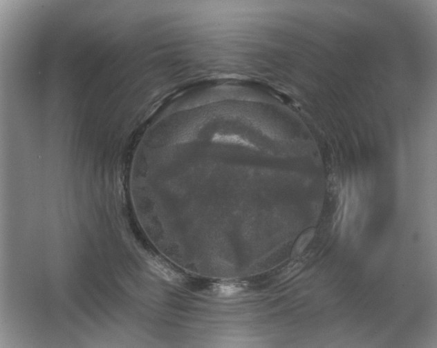X0000067880662200604131304