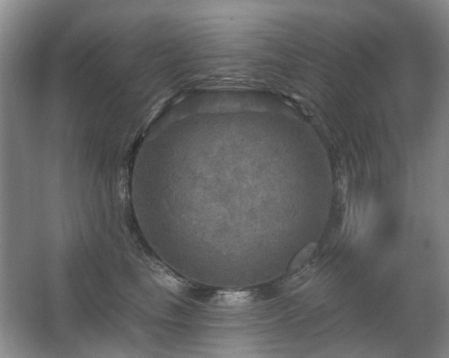 X0000067880665200604131304