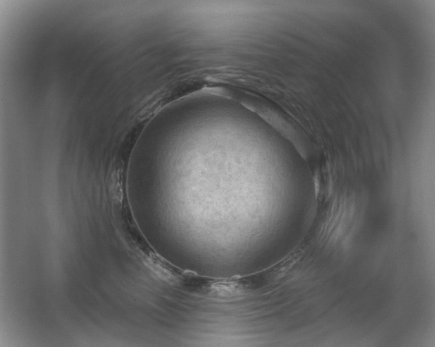 X0000067880666200604131304