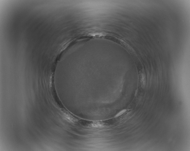 X0000067880668200604131304