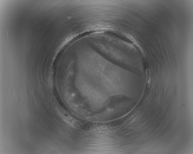 X0000067880675200604131303