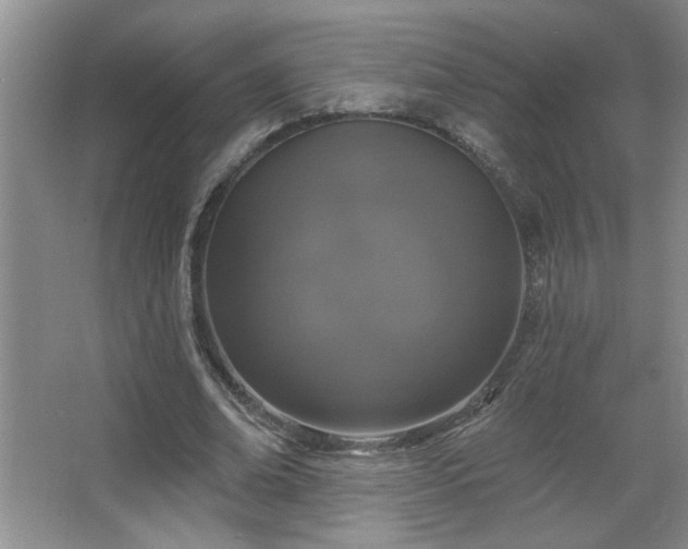 X0000067880678200604131303
