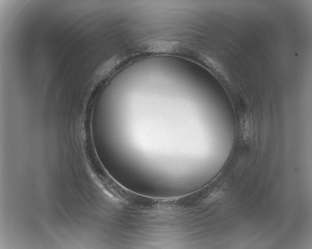 X0000067880682200604131303