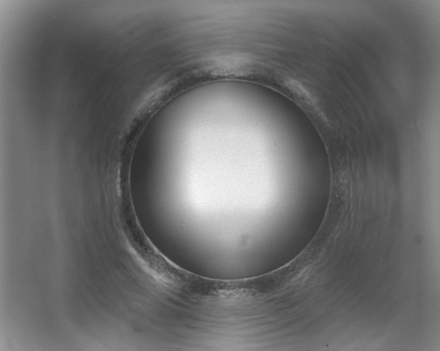 X0000067880686200604131303