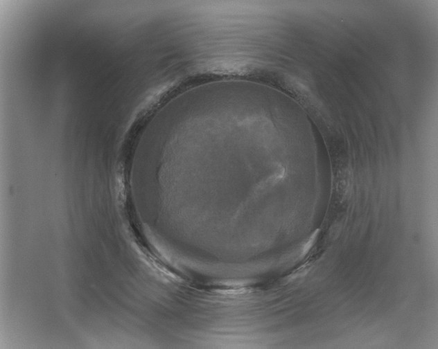 X0000067880688200604131303