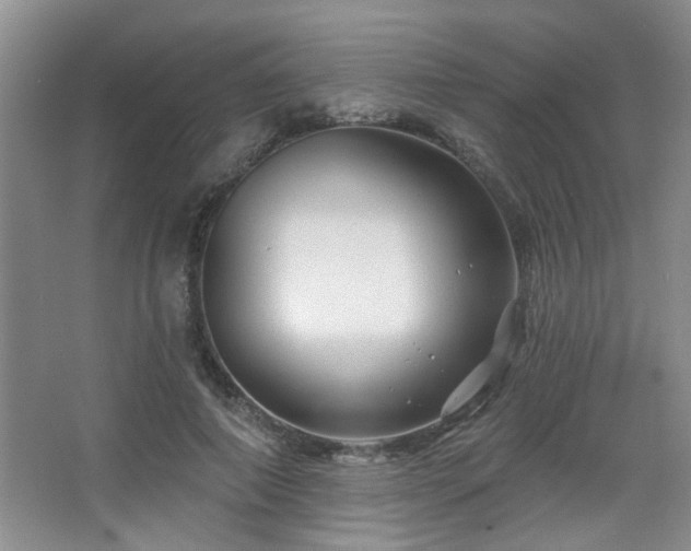 X0000067880690200604131303