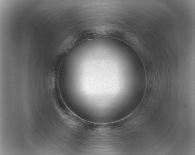 X0000067880694200604131303