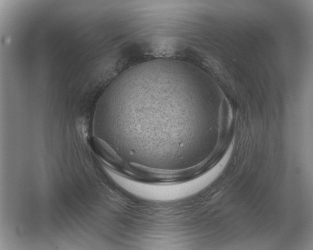 X0000067880697200604131303