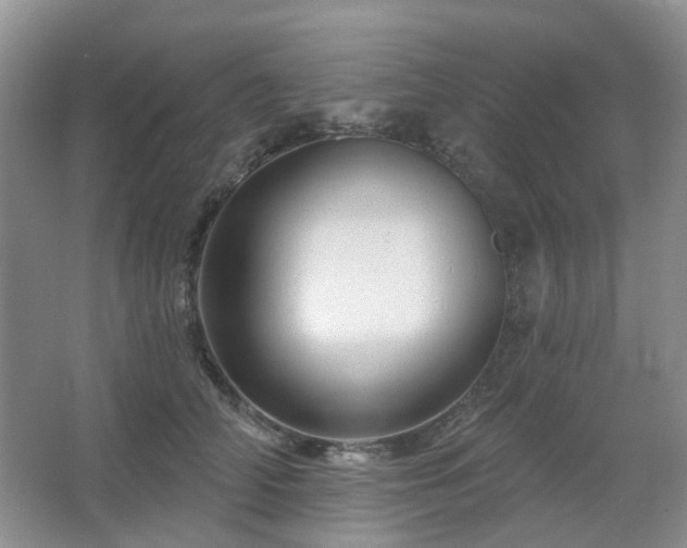 X0000067880706200604131302