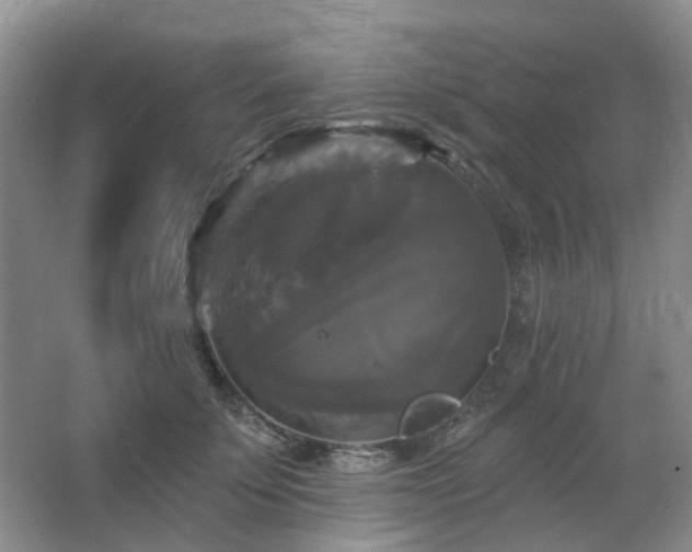 X0000067880707200604131302
