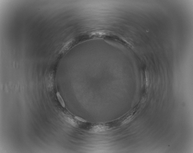 X0000067880708200604131302