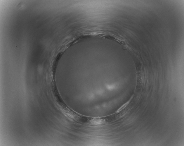 X0000067880711200604131302