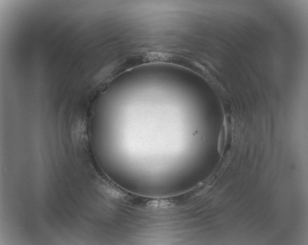 X0000067880714200604131302